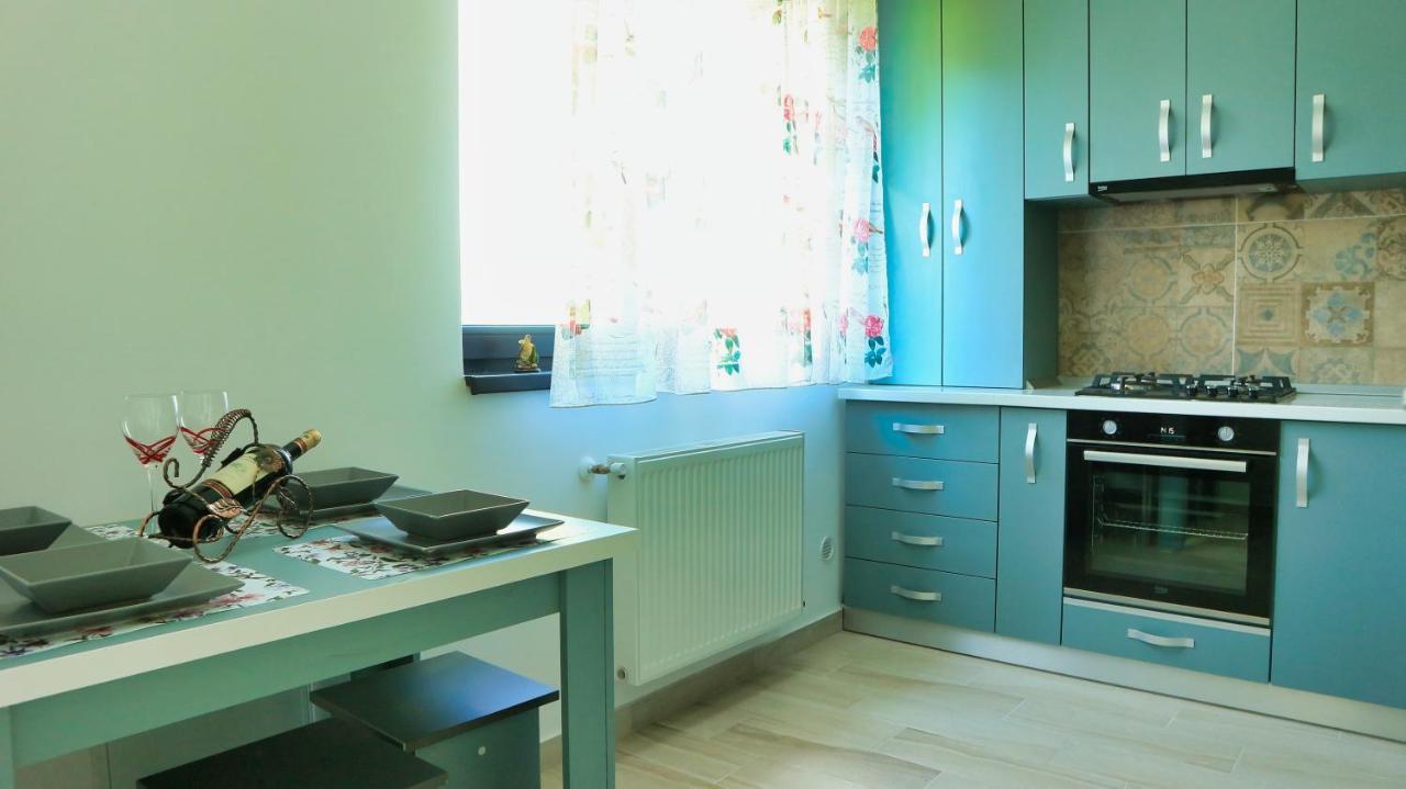 Cozy Flowers Studio - Fast Wi-Fi & Washer-Dryer Brasov Luaran gambar